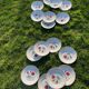 8 vintage flat plates decorated with stylized roses