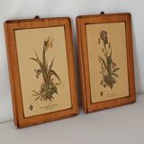 Vintage botanical boards frames