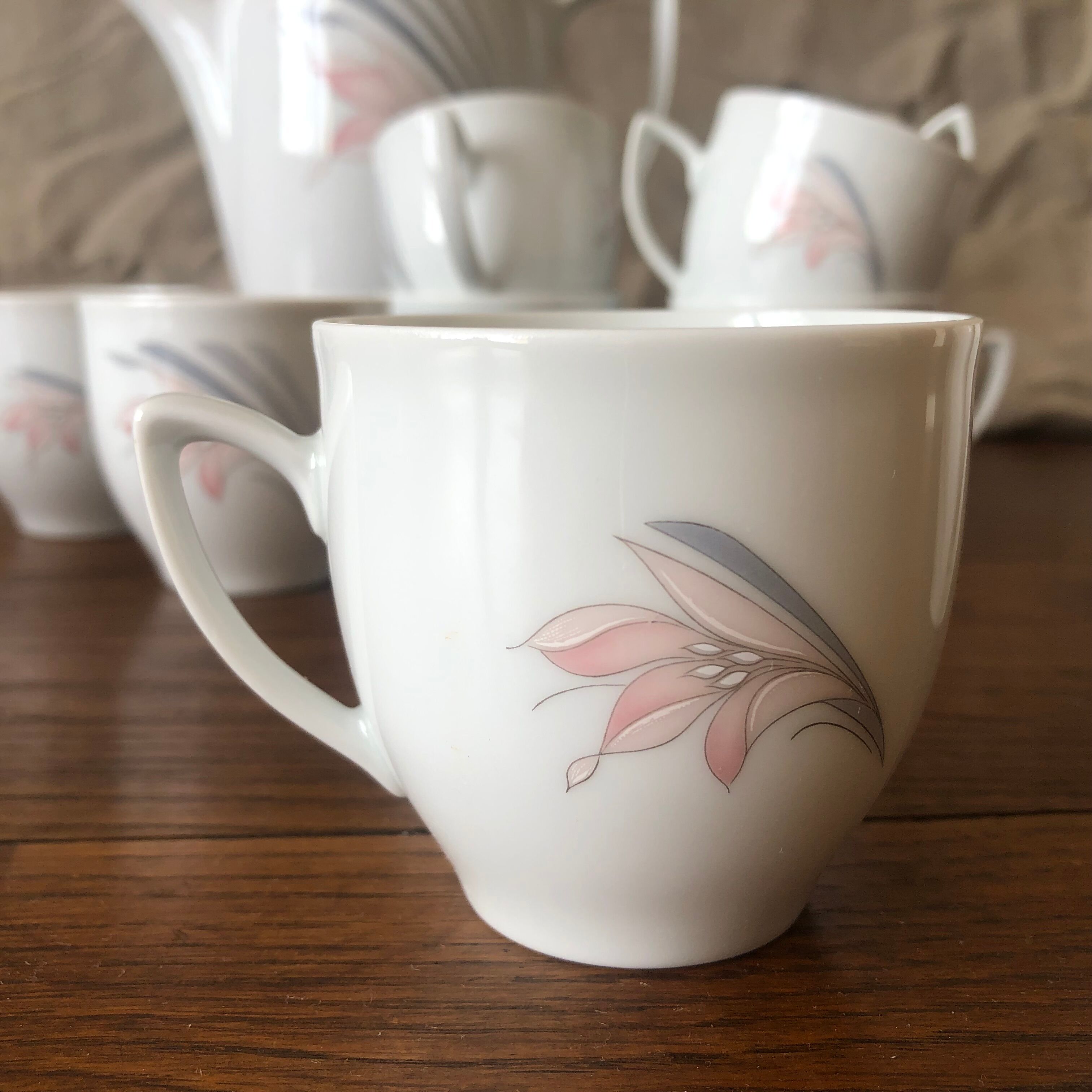 Pastel porcelain coffee service