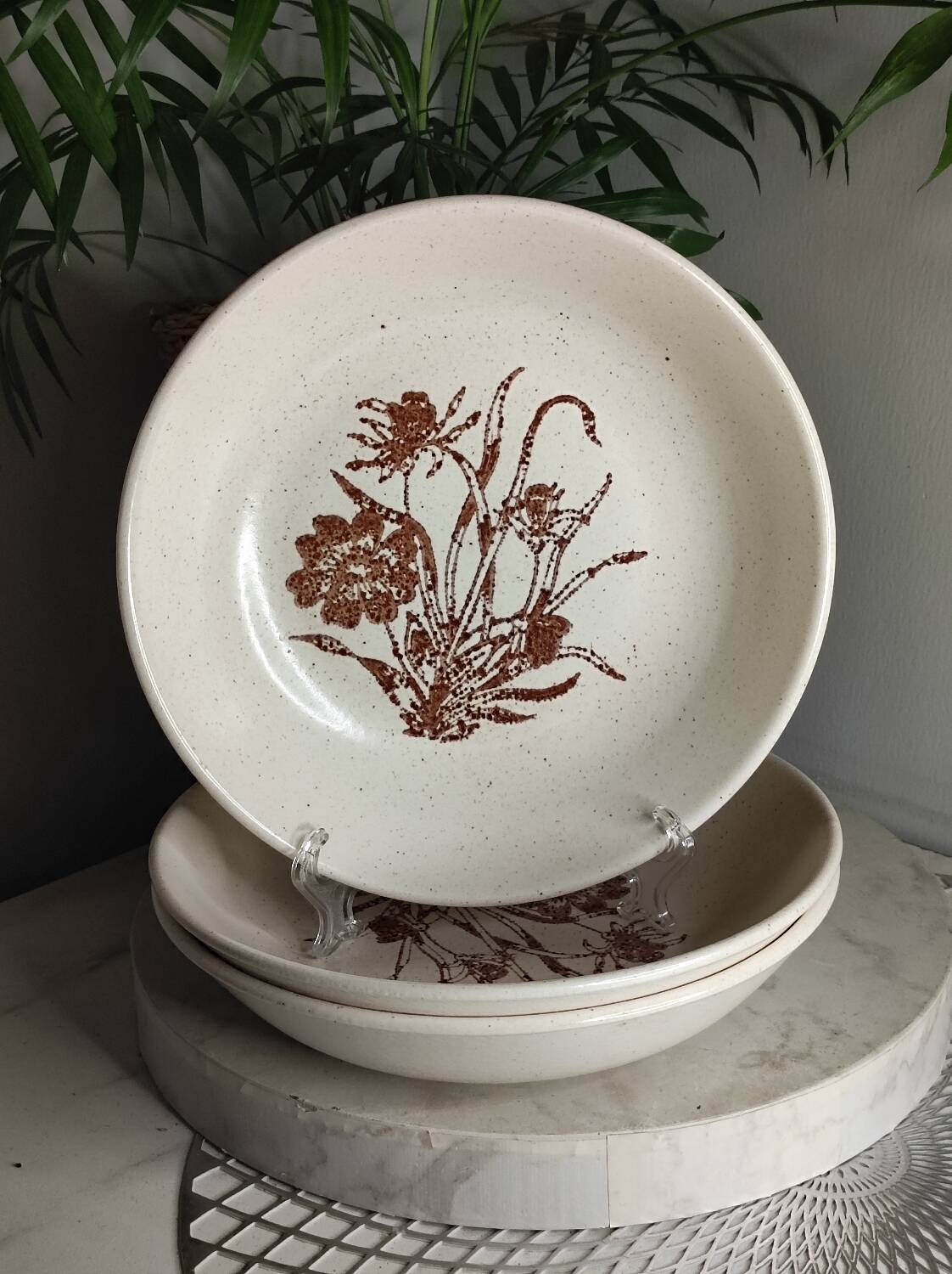 Ceramic stoneware soup plates