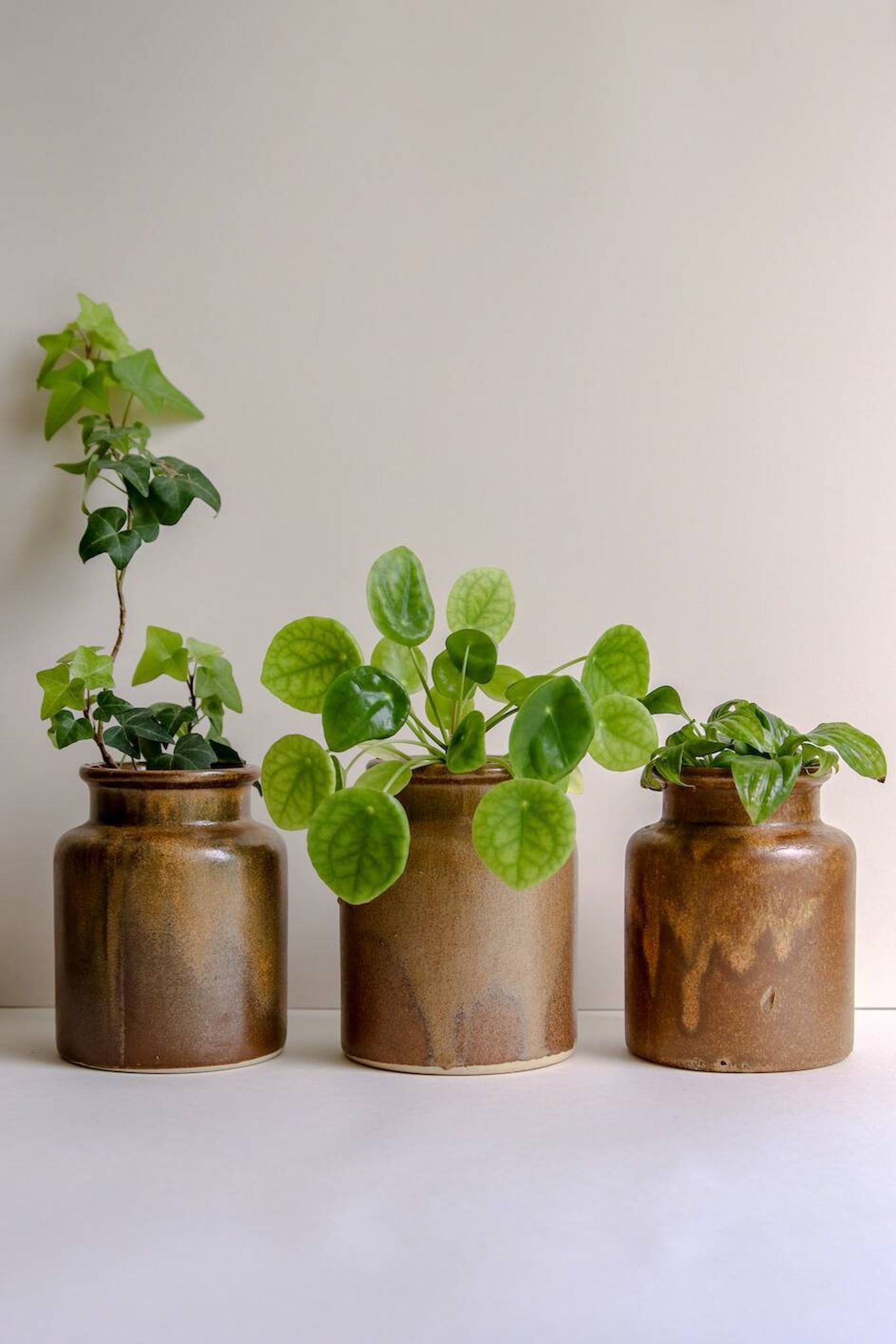 Old mustard pots