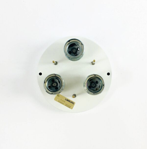 Grand plafonnier/applique en verre et laiton en forme de fleur, provenant du Limbourg, en Allemagne, années 1960/1970