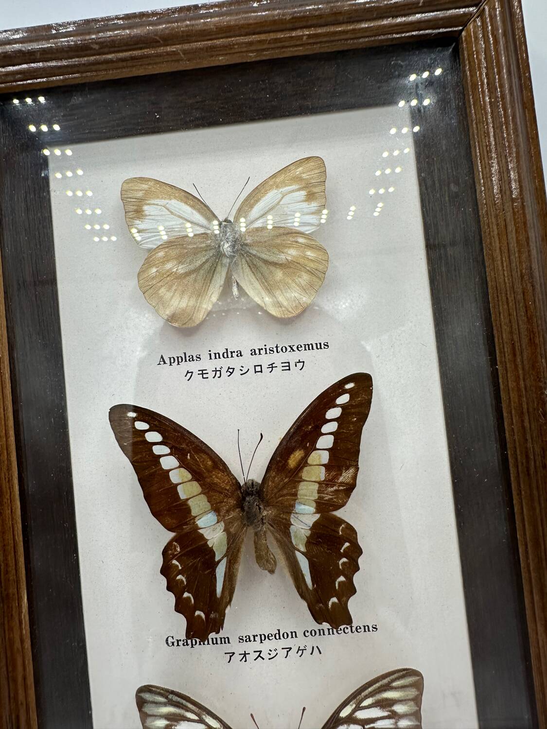 Neutralized butterfly frame