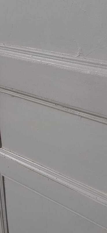 Pair of 19th-century cupboard doors and frame, woodwork