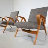 Mid-Century Modern Pair of Armchairs, 1950s, Czech Republic (New Ulphostery)