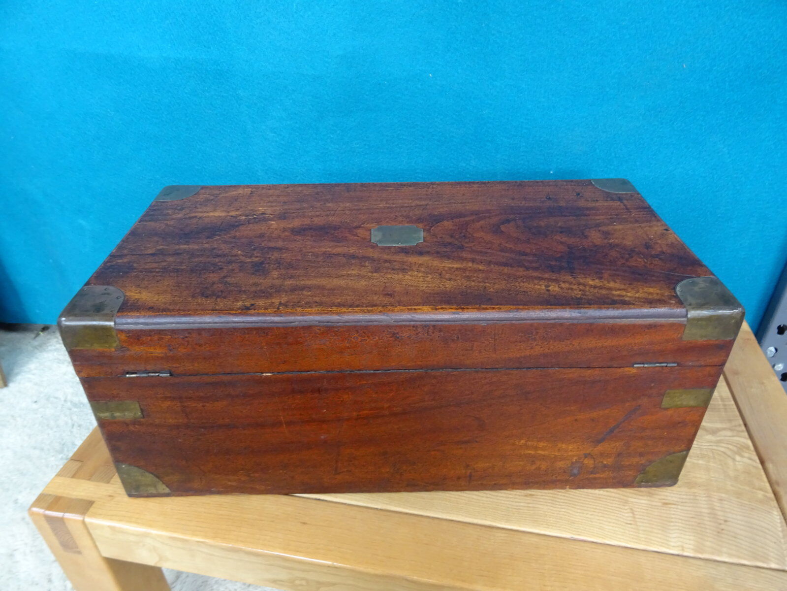 Old marine trunk in camphor tree