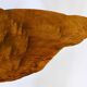 Original coffee table by Carl Aubock, large tree trunk in walnut from the mid-century, 1950s.