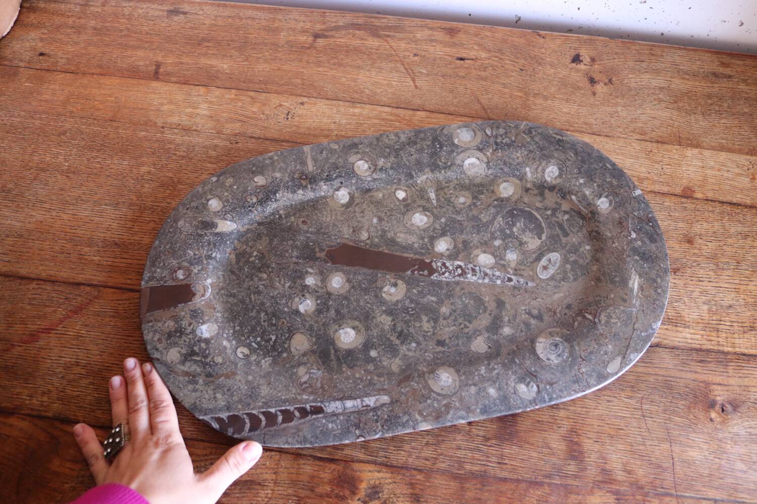 Large fossil stone plateau – ammonites and orthoceras