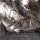 Grey silk nape and towels embroidered with coloured cashmere patterns