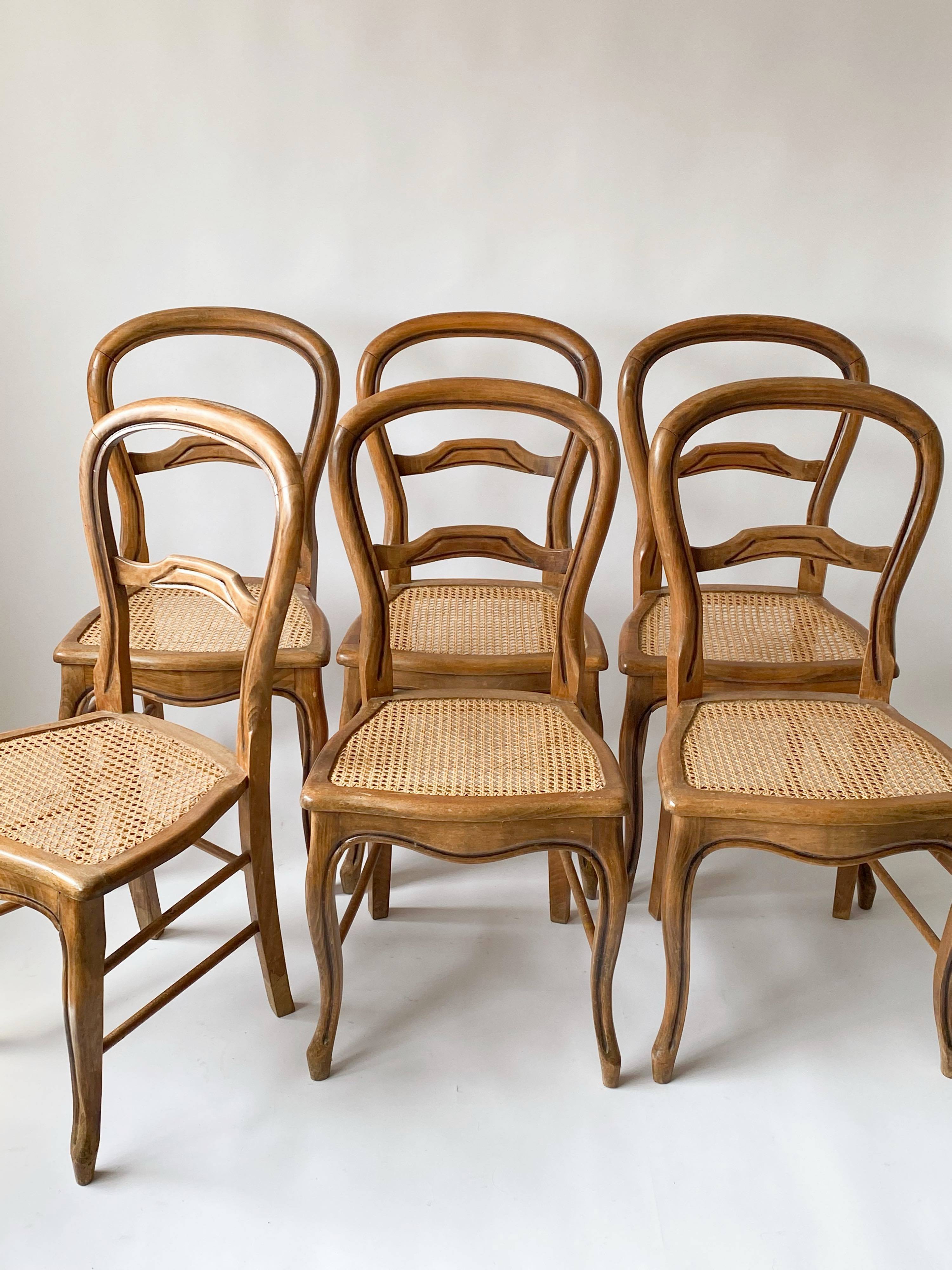 Suite chairs campaign caning