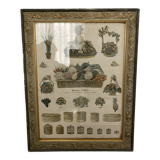 Old frame and poster