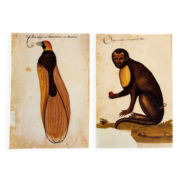 Impressions of the natural history of the Renaissance, pair of facsimiles of the Codex Pomar, 1990s.