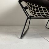 Bird Model Armchair by Harry Bertoia for Knoll, 1970s