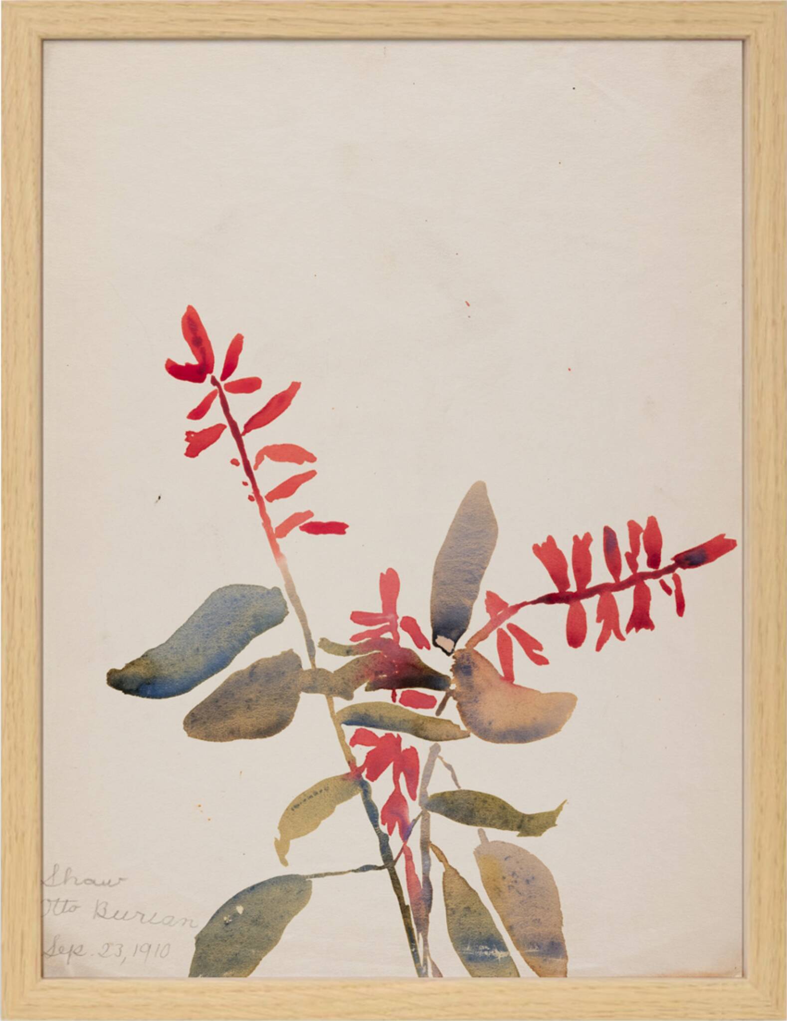 Watercolor illustration the flowers