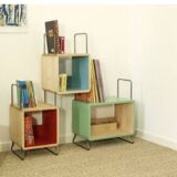 Nonah Salamander Children's Library