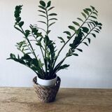 Cache pot vintage