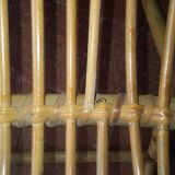 Pair of rattan armchairs
