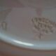 Plate Longchamp Earth model railway scenery parakeets Congo