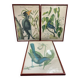 Ornithological posters