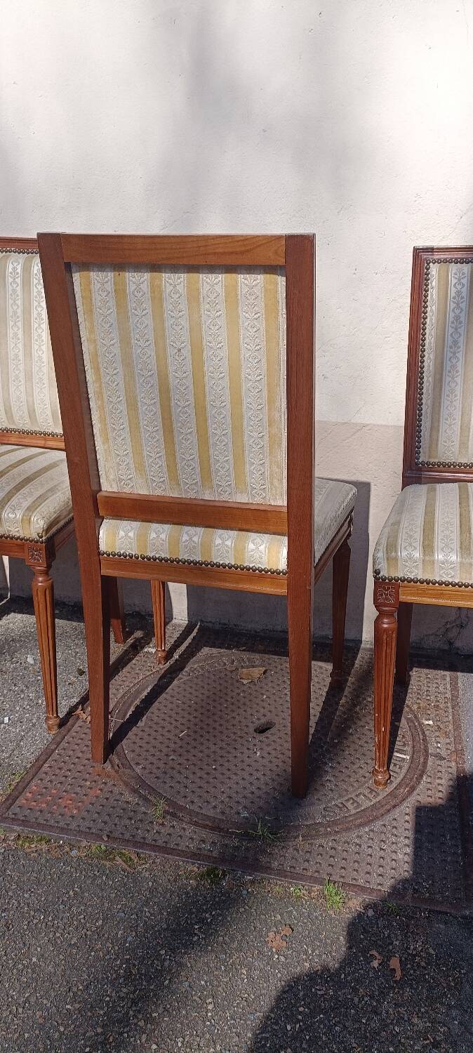 Lot 6 Louis chairs, 16