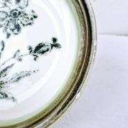 8 vintage hollow plates earthenware Gien model Herbiers table arts France