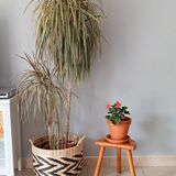 Tripod stool in solid wood years 40/50