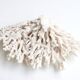 White coral, 70s