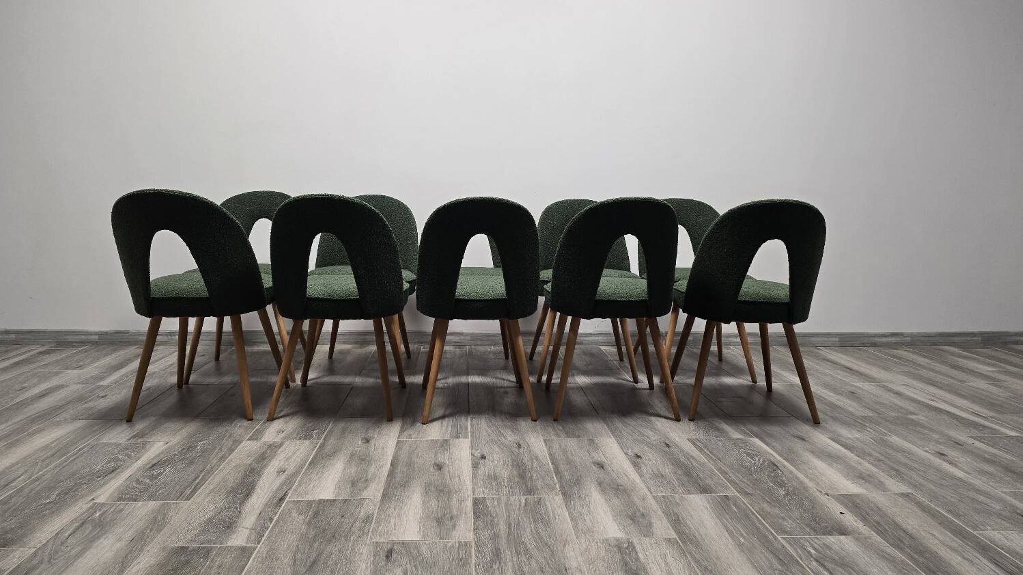 Dining Chairs by Antonin Suman, 1960s, Set of 10