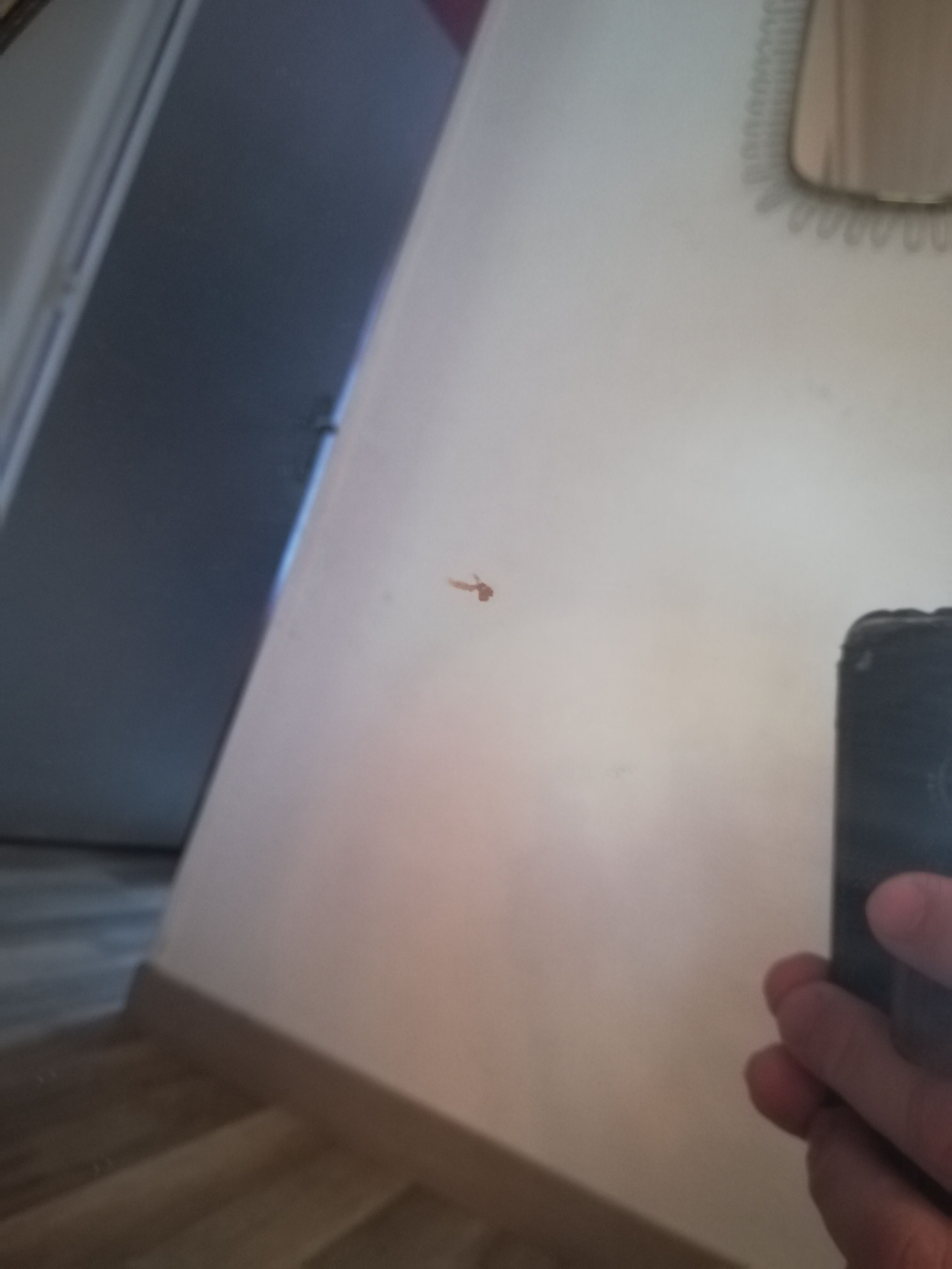 Round brass mirror 70cm