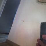 Round brass mirror 70cm