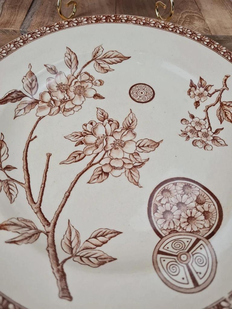 Set of 2 antique ironstone plates, "Daisy" pattern, Grand Dépôt Paris.