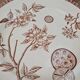 Set of 2 antique ironstone plates, "Daisy" pattern, Grand Dépôt Paris.