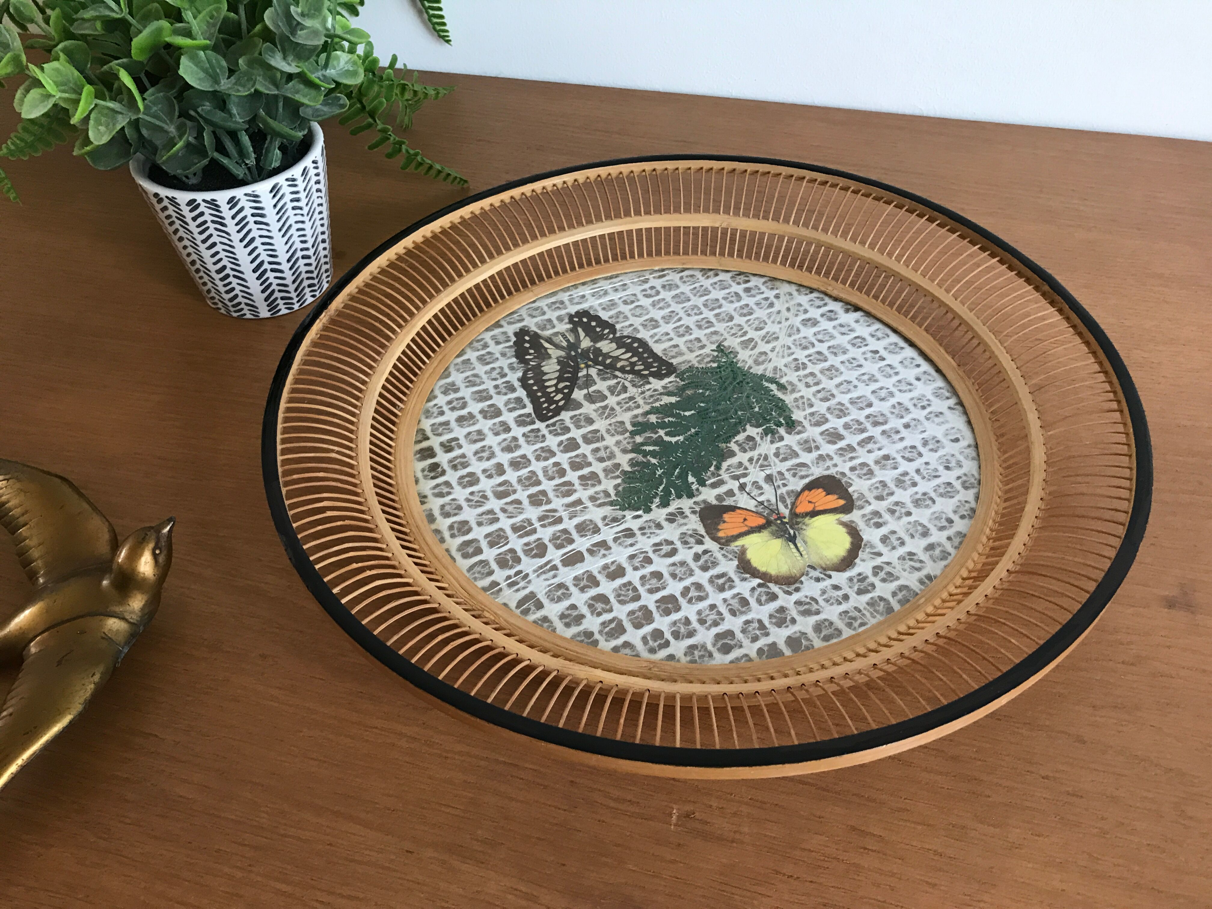 Empty bamboo pocket, glass and true butterfly wings