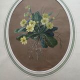 Watercolor "Primroses" XIX