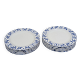 Set of 10 white and blue flat plates