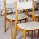 4 Danish chairs in beech wood and skai, 1960