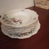 Lot 6 assiettes 1 plat porcelaine Seltmann Weiden