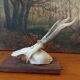 Pair of ancient hunting trophies, deer