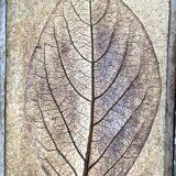 Roger Capron Herbier - Rectangular coffee table with patinated steel frame
