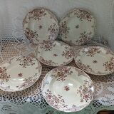 6 polychrome ironstone soup plates