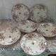 6 assiettes creuses Terre de fer polychrome