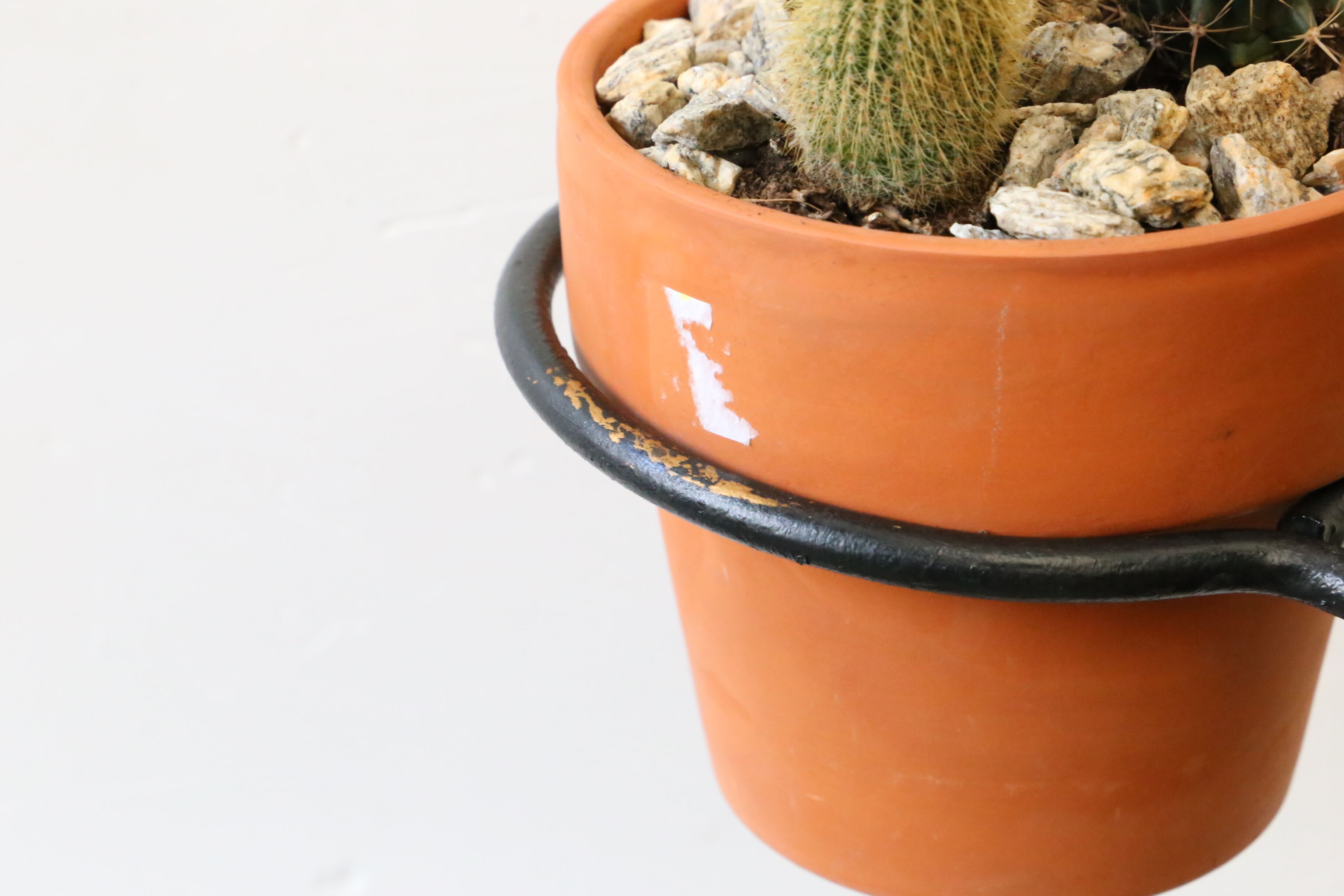 Door metal plants from the 70s