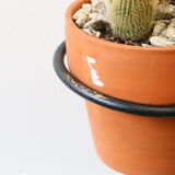 Door metal plants from the 70s