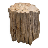 Petrified Wood As A Side Table, more than 50 million years old