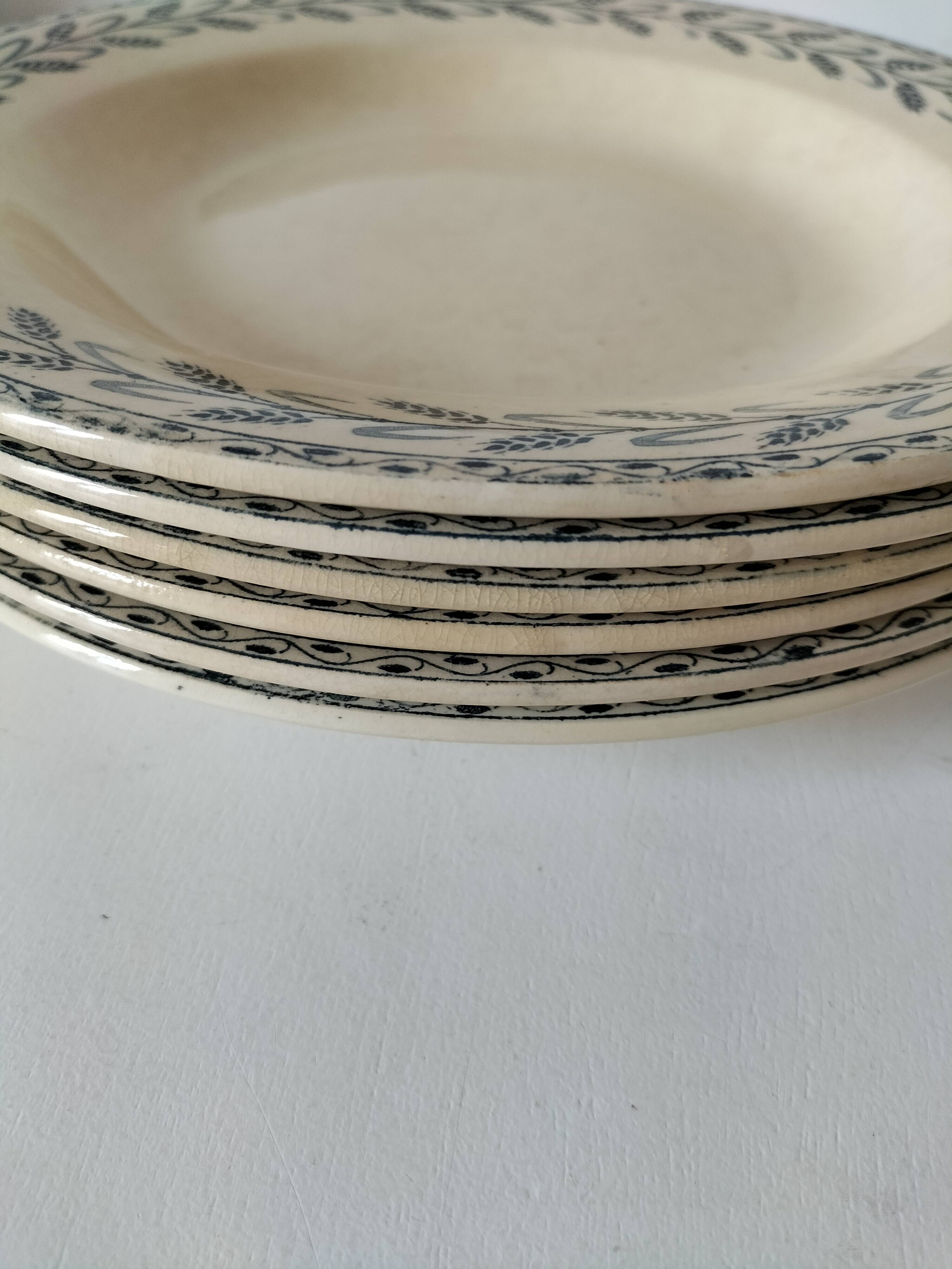 6 old E.C. Salins “Les Épis” ironstone soup plates