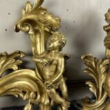 Paire de chenêts en bronze ciselé et doré d'après un modèle de Jacques Caffieri, Paris XIXème