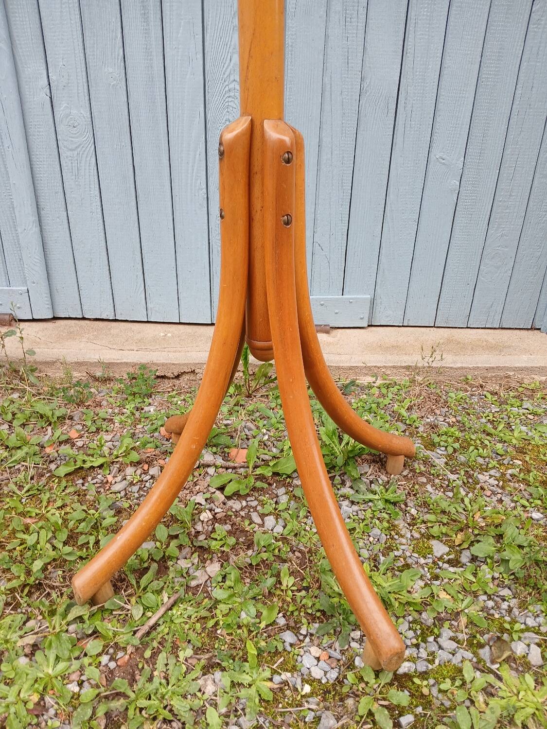 Antique parrot coat rack