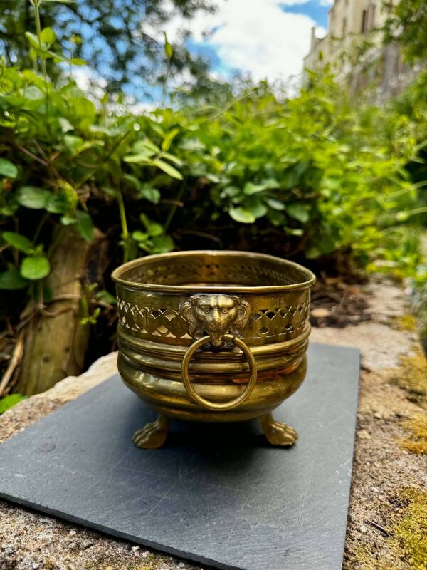 Jardinière en laiton lion baroque