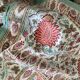 Large "Simrane" tablecloth - Printed - Raspberry and turquoise - 240x350cm