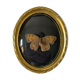 Butterfly under bulging frame